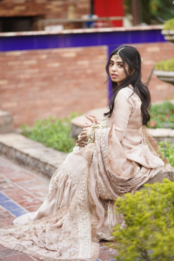 image00001 Poppy Blush